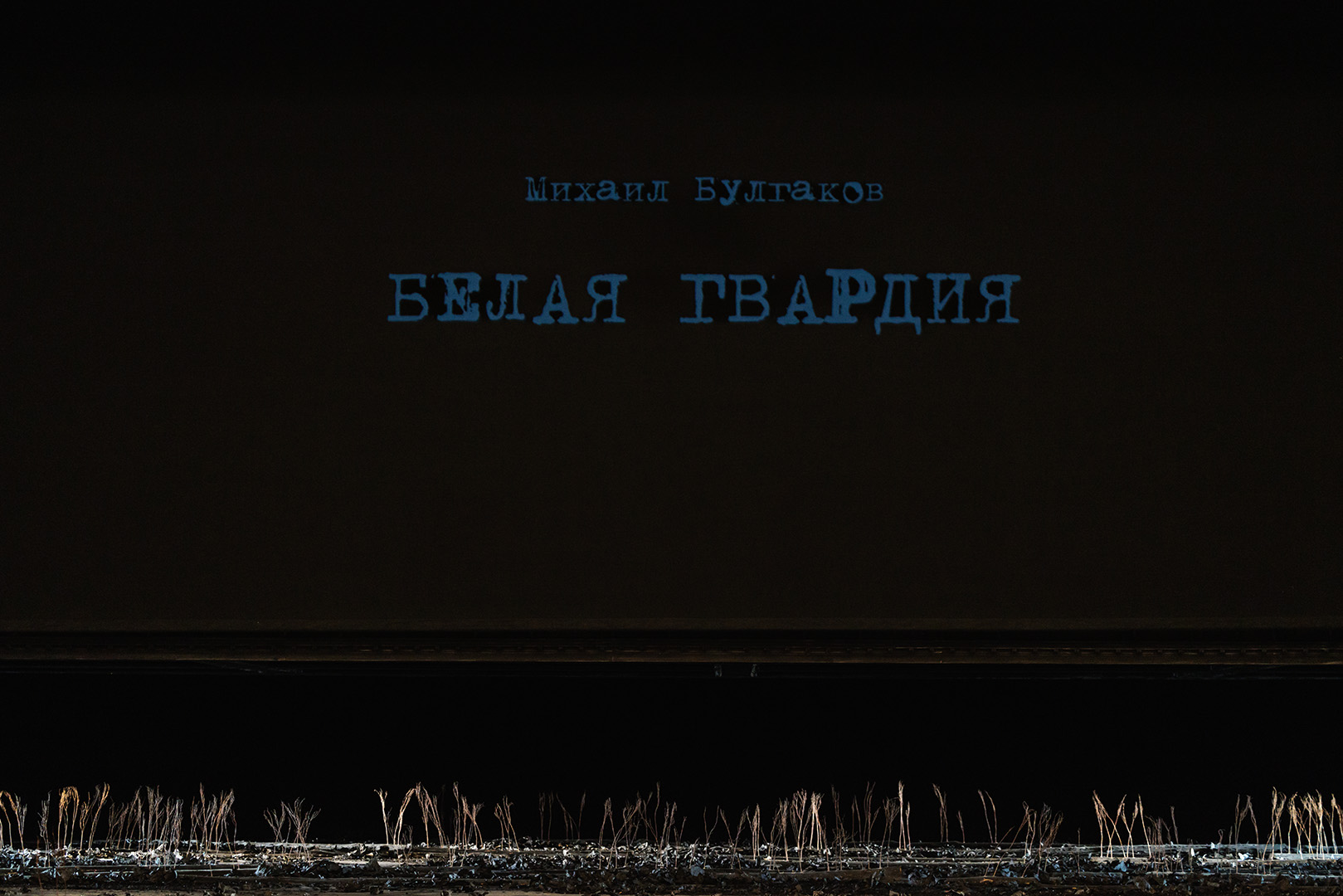 Белая Гвардия